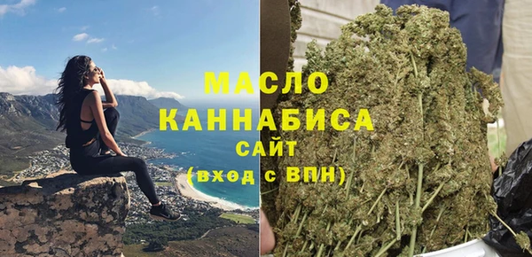 амф Пестово