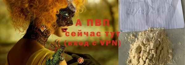 a pvp Пересвет