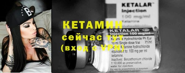 a pvp Пересвет