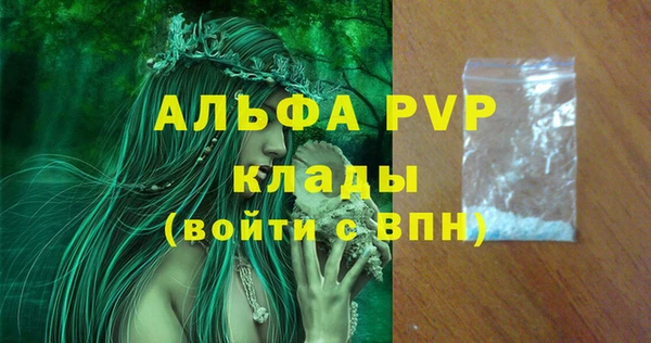 амф Пестово
