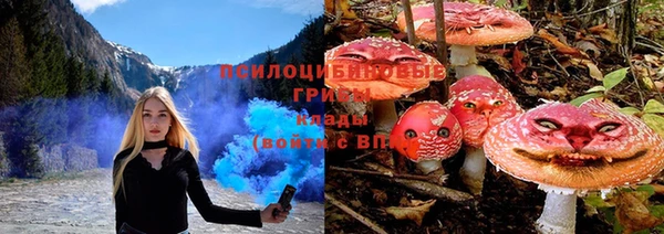 spice Щучье