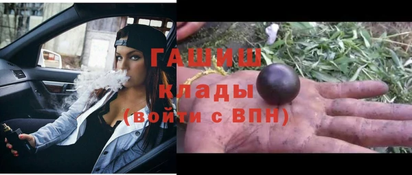 a pvp Пересвет