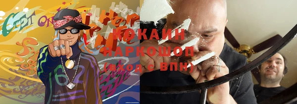 амф Пестово