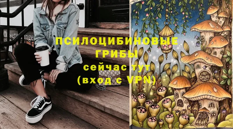 Галлюциногенные грибы Psilocybine cubensis  Сорск 