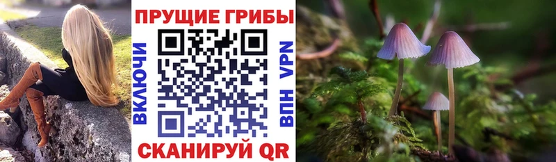 Псилоцибиновые грибы мицелий  Сорск 