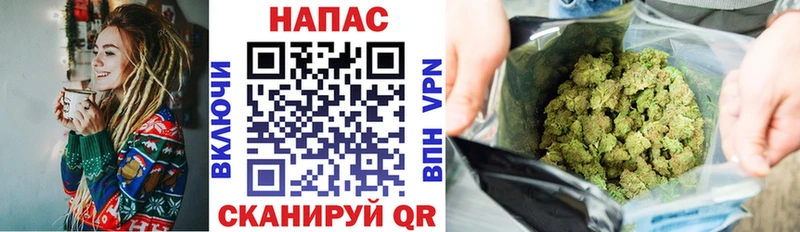 Канабис ГИДРОПОН Сорск