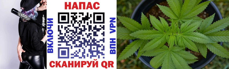 Шишки марихуана OG Kush  мега   Сорск 